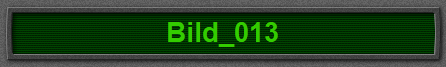 Bild_013