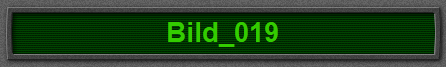 Bild_019