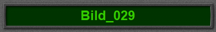 Bild_029